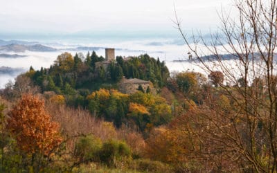 Ufficio Stampa per Castelli